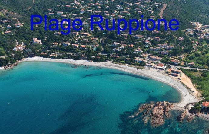 Vue Mer Panoramique Plage 50M Porticcio Corse المظهر الخارجي الصورة