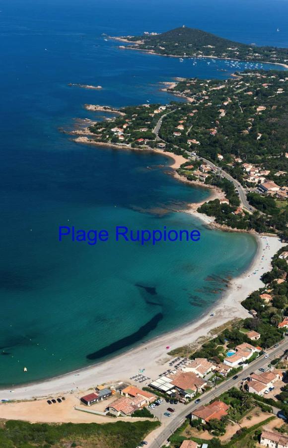 Vue Mer Panoramique Plage 50M Porticcio Corse المظهر الخارجي الصورة